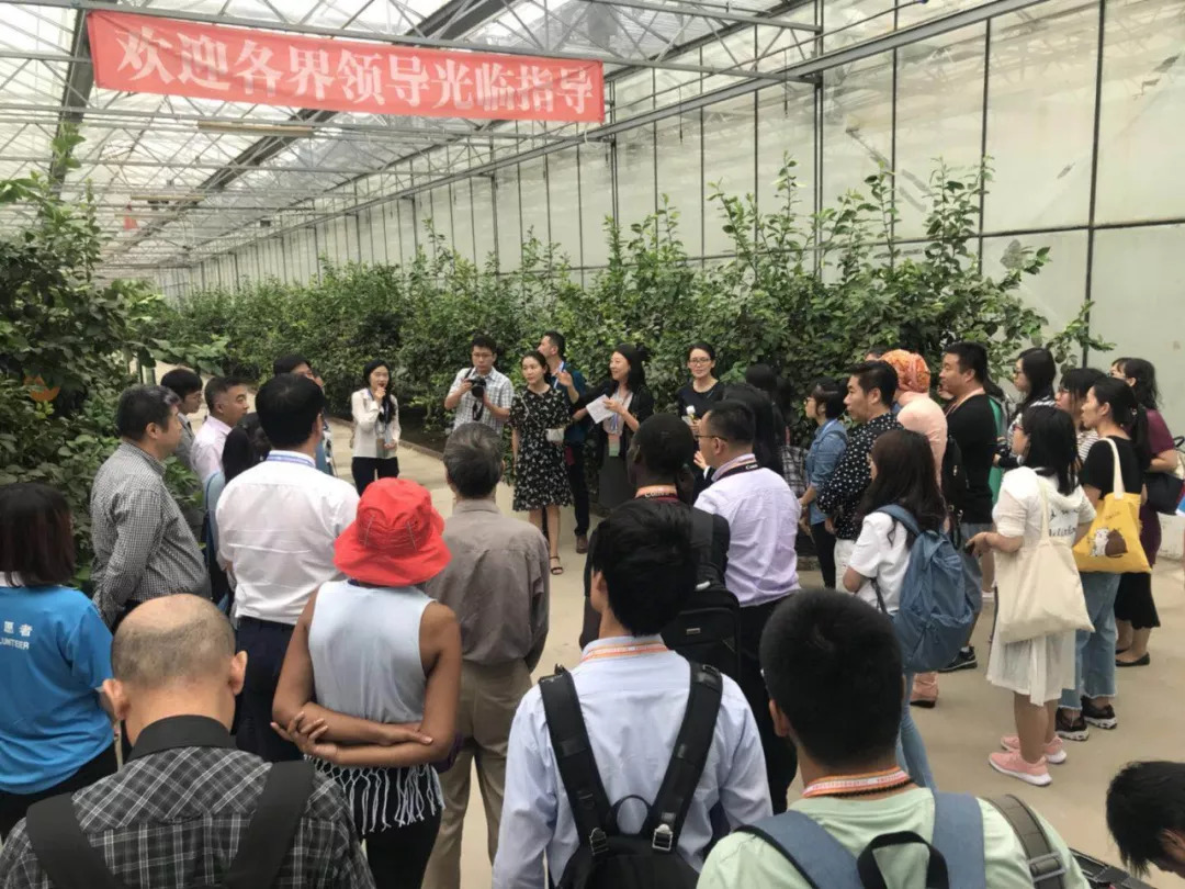 感受北京美丽乡村与科技推广 2018年中非合作论坛北京峰会城市采访侧记